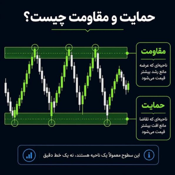تعریف دقیق حمایت و مقاومت