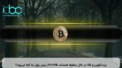 بیت‌کوین و طلا در حال سقوط هستند – پس پول به کجا می‌رود؟