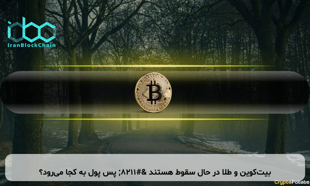 بیت‌کوین و طلا در حال سقوط هستند – پس پول به کجا می‌رود؟