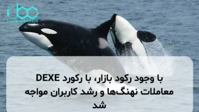 DEXE با وجود رکود بازار، با رکورد معاملات نهنگ‌ها و رشد کاربران مواجه شد