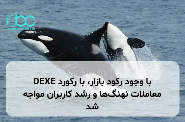 DEXE با وجود رکود بازار، با رکورد معاملات نهنگ‌ها و رشد کاربران مواجه شد