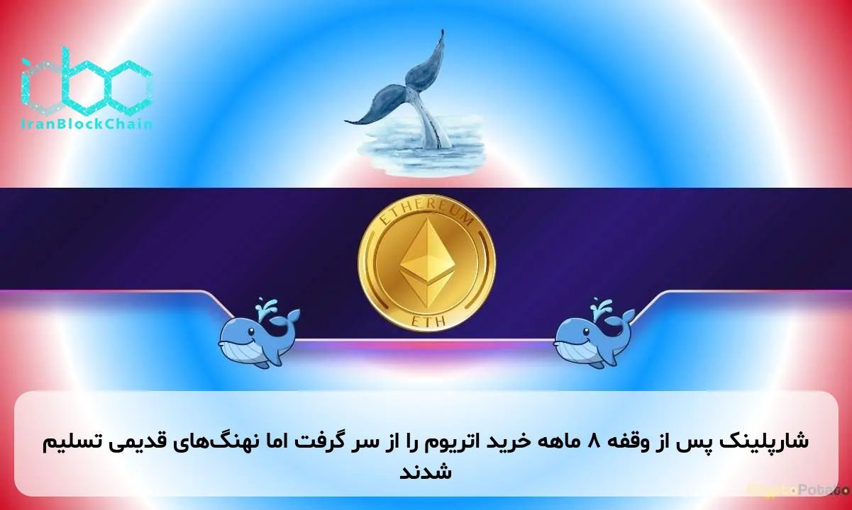 شارپلینک پس از وقفه ۸ ماهه خرید اتریوم را از سر گرفت اما نهنگ‌های قدیمی تسلیم شدند
