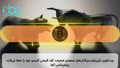 بیتکوین علیرغم سیگنالهای صعودی ضعیف، کف قیمتی کلیدی خود را حفظ میکند: بیتفینکس آلفا