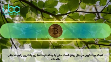 شبکه بیت‌کوین در حال رونق است حتی با اینکه قیمت‌ها زیر بالاترین رکوردها باقی مانده‌اند
