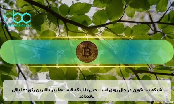شبکه بیت‌کوین در حال رونق است حتی با اینکه قیمت‌ها زیر بالاترین رکوردها باقی مانده‌اند