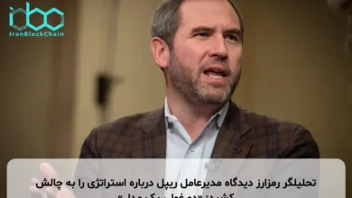 تحلیلگر رمزارز دیدگاه مدیرعامل ریپل درباره استراتژی را به چالش کشید: «دو غول، یک مدل»