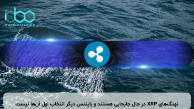 نهنگ‌های XRP در حال جابجایی هستند و بایننس دیگر انتخاب اول آن‌ها نیست