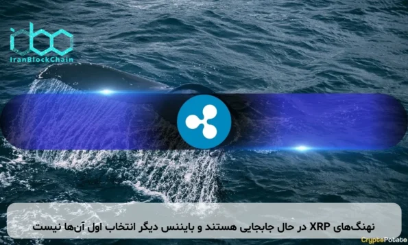 نهنگ‌های XRP در حال جابجایی هستند و بایننس دیگر انتخاب اول آن‌ها نیست