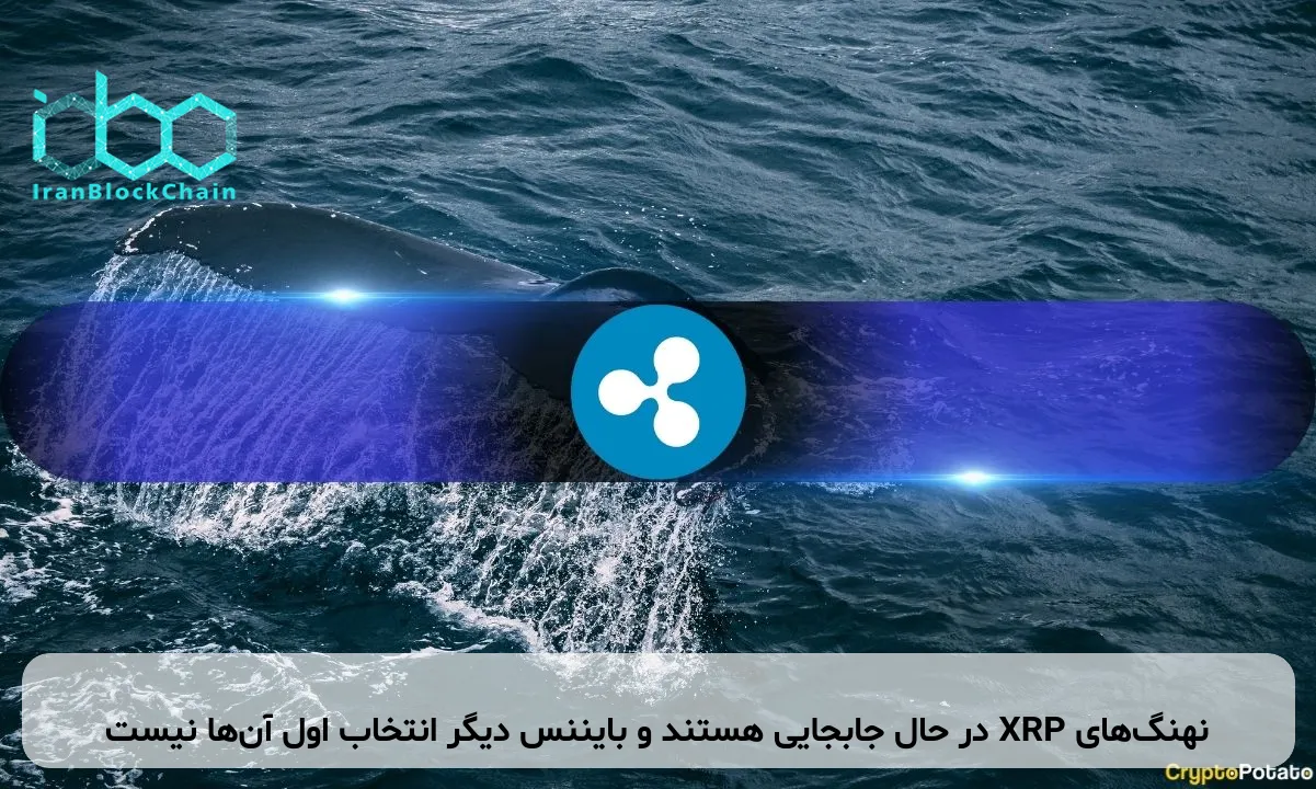 نهنگ‌های XRP در حال جابجایی هستند و بایننس دیگر انتخاب اول آن‌ها نیست