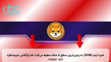 شیبا اینو (SHIB) به پایین‌ترین سطح ۵ ساله سقوط می‌کند، اما بازگشتی غیرمنتظره دارد: جزئیات