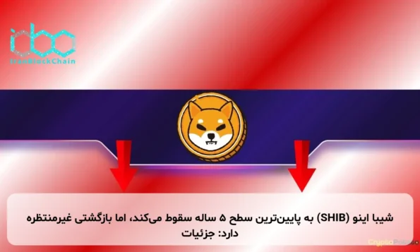 شیبا اینو (SHIB) به پایین‌ترین سطح ۵ ساله سقوط می‌کند، اما بازگشتی غیرمنتظره دارد: جزئیات