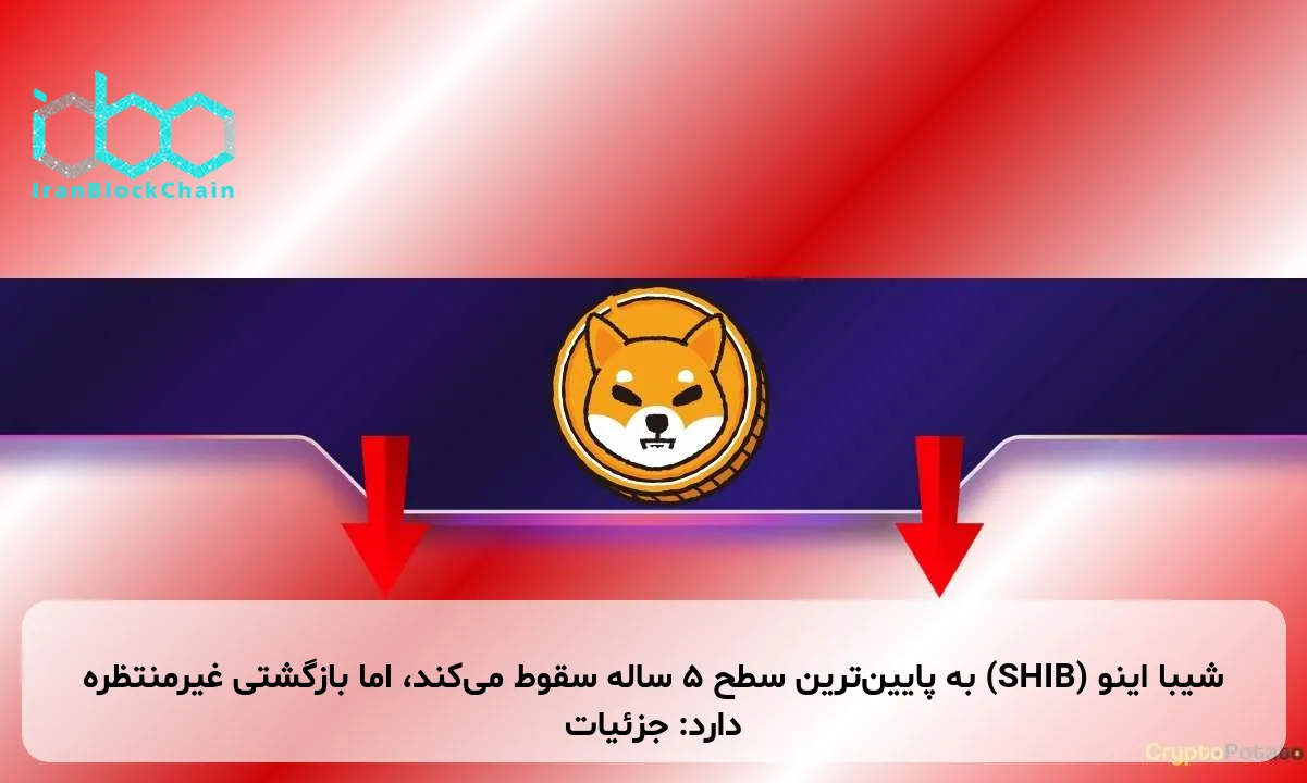 شیبا اینو (SHIB) به پایین‌ترین سطح ۵ ساله سقوط می‌کند، اما بازگشتی غیرمنتظره دارد: جزئیات