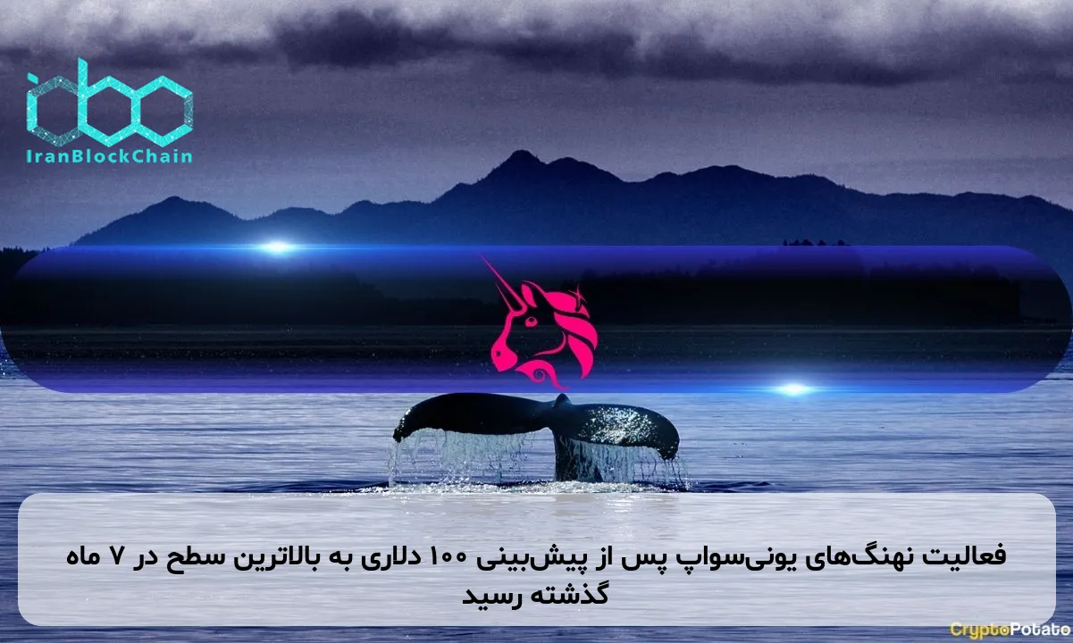 فعالیت نهنگهای یونیسواپ پس از پیشبینی ۱۰۰ دلاری به بالاترین سطح در ۷ ماه گذشته رسید