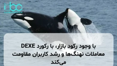 DEXE با وجود رکود بازار، با رکورد معاملات نهنگ‌ها و رشد کاربران مقاومت می‌کند
