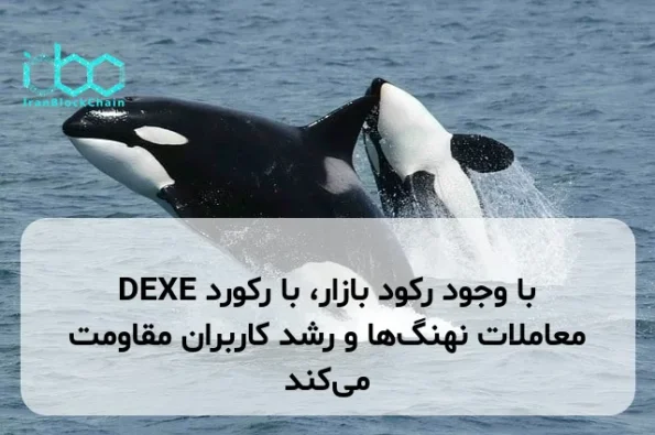 DEXE با وجود رکود بازار، با رکورد معاملات نهنگ‌ها و رشد کاربران مقاومت می‌کند