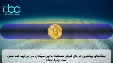 نهنگهای بیتکوین در حال فروش هستند: اما این سیگنال نادر میگوید کف ممکن است نزدیک باشد