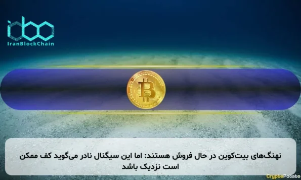 نهنگ‌های بیت‌کوین در حال فروش هستند: اما این سیگنال نادر می‌گوید کف ممکن است نزدیک باشد