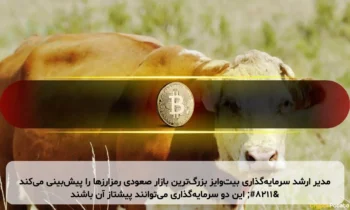 مدیر ارشد سرمایه‌گذاری بیت‌وایز بزرگ‌ترین بازار صعودی رمزارزها را پیش‌بینی می‌کند – این دو سرمایه‌گذاری می‌توانند پیشتاز آن باشند