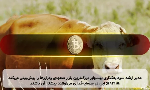مدیر ارشد سرمایه‌گذاری بیت‌وایز بزرگ‌ترین بازار صعودی رمزارزها را پیش‌بینی می‌کند – این دو سرمایه‌گذاری می‌توانند پیشتاز آن باشند