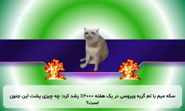سکه میم با تم گربه ویروسی در یک هفته ۲۰۰۰٪ رشد کرد: چه چیزی پشت این جنون است؟