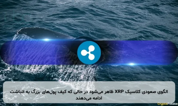 الگوی صعودی کلاسیک XRP ظاهر می‌شود در حالی که کیف پول‌های بزرگ به انباشت ادامه می‌دهند