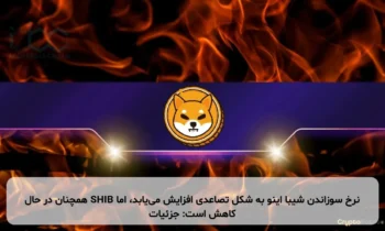 نرخ سوزاندن شیبا اینو به شکل تصاعدی افزایش می‌یابد، اما SHIB همچنان در حال کاهش است: جزئیات