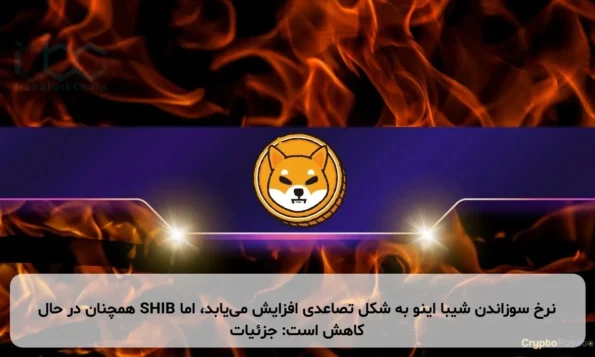 نرخ سوزاندن شیبا اینو به شکل تصاعدی افزایش می‌یابد، اما SHIB همچنان در حال کاهش است: جزئیات