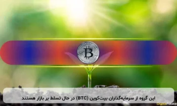 این گروه از سرمایه‌گذاران بیت‌کوین (BTC) در حال تسلط بر بازار هستند