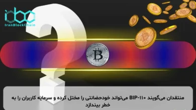 منتقدان می‌گویند BIP-110 می‌تواند خودحضانتی را مختل کرده و سرمایه کاربران را به خطر بیندازد