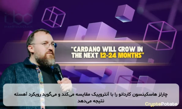 چارلز هاسکینسون کاردانو را با آنتروپیک مقایسه می‌کند و می‌گوید رویکرد آهسته نتیجه می‌دهد