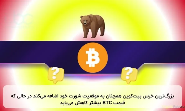 بزرگ‌ترین خرس بیت‌کوین همچنان به موقعیت شورت خود اضافه می‌کند در حالی که قیمت BTC بیشتر کاهش می‌یابد