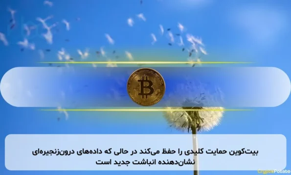 بیت‌کوین حمایت کلیدی را حفظ می‌کند در حالی که داده‌های درون‌زنجیره‌ای نشان‌دهنده انباشت جدید است