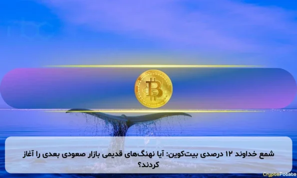 شمع خداوند ۱۲ درصدی بیت‌کوین: آیا نهنگ‌های قدیمی بازار صعودی بعدی را آغاز کردند؟