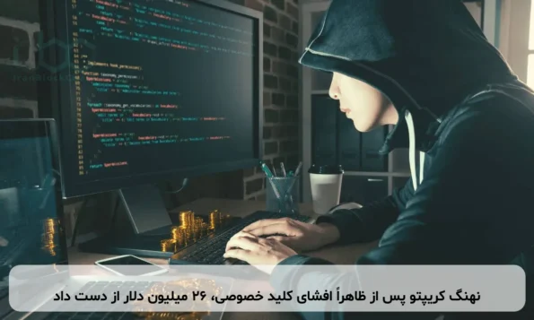 نهنگ کریپتو پس از ظاهراً افشای کلید خصوصی، ۲۶ میلیون دلار از دست داد