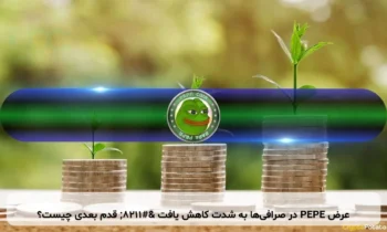 عرض PEPE در صرافی‌ها به شدت کاهش یافت – قدم بعدی چیست؟