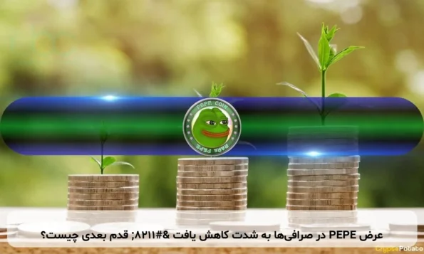 عرض PEPE در صرافی‌ها به شدت کاهش یافت – قدم بعدی چیست؟