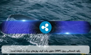 رکود تابستانی ریپل (XRP) جلوی رشد کیف پول‌های بزرگ را نگرفته است