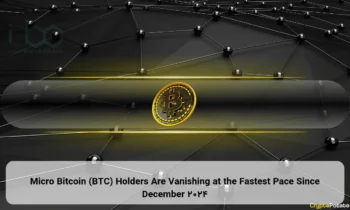 Micro Bitcoin (BTC) Holders Are Vanishing at the Fastest Pace Since December 2024