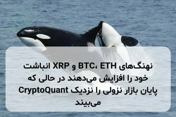 نهنگ‌های BTC، ETH و XRP انباشت خود را افزایش می‌دهند در حالی که CryptoQuant پایان بازار نزولی را نزدیک می‌بیند